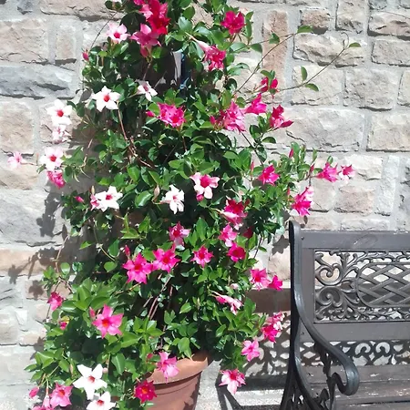 Giardino Appart hôtel 3*