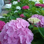Lejlighedshotel Giardino Montecreto