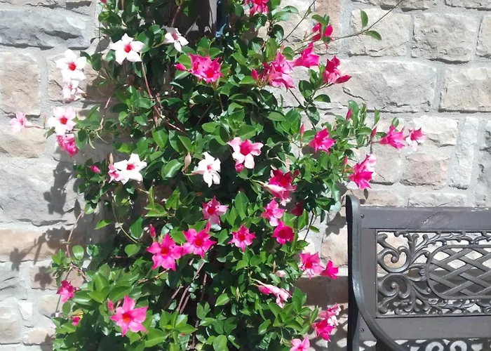 Giardino Aparthotel 3*