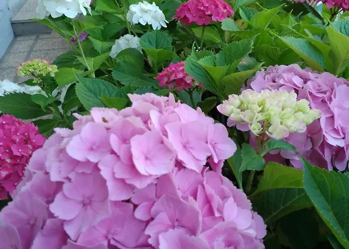 شقة فندقية Giardino مونتيكريتو