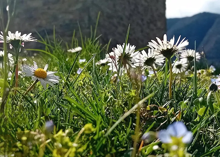 Giardino 3* مونتيكريتو